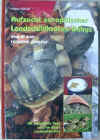 Aufzucht Europischer Landschildkrten, Horst Khler