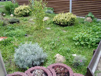 Freilandanlage9.JPG (76020 Byte)