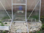 Gewaechshaus_Neubau_20.JPG (63271 Byte)