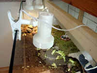 Spotstrahler_2.JPG (42591 Byte)