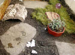 Terrarium Landschildrk�te