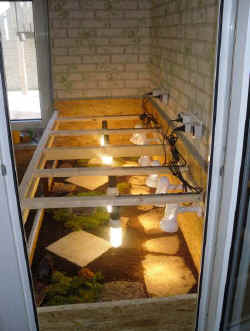 terrarium_neu_1.JPG (44321 Byte)