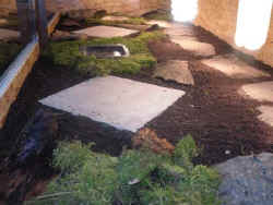terrarium_neu_3.JPG (35346 Byte)