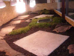 terrarium_neu_4.JPG (30118 Byte)