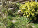 freiland_15.JPG (75792 Byte)