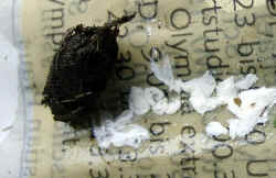 Harnabsatz.JPG (49662 Byte)