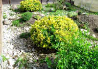 gehege_12.jpg (50621 Byte)