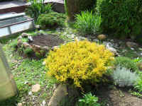 gehege_14.jpg (46087 Byte)