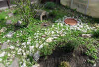 gehege_7.jpg (37172 Byte)